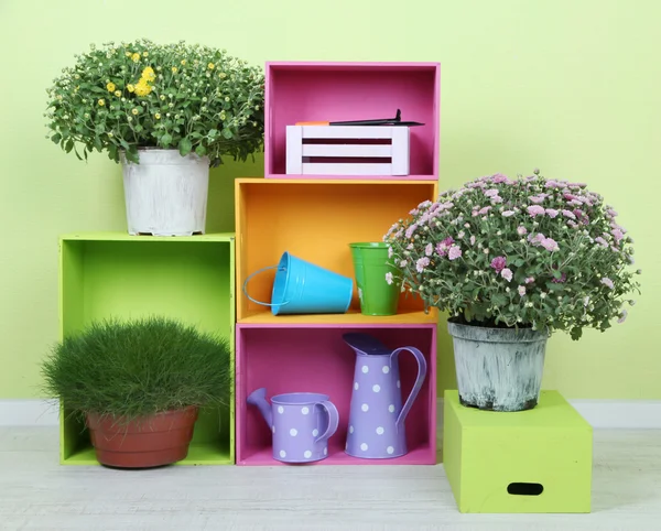 Blumen in Töpfen mit Farbkästen auf Wandhintergrund — Stockfoto