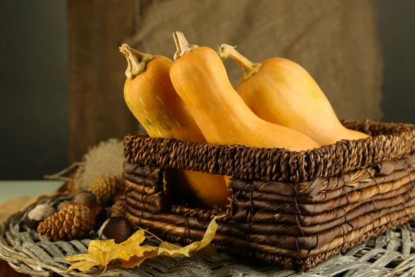 Composición otoñal con calabaza —  Fotos de Stock