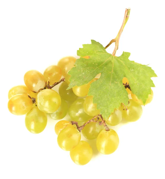 成熟的甜葡萄，孤立在白色 — 图库照片