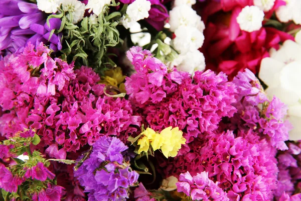 Mooie zomerse bloemen close-up achtergrond — Stockfoto