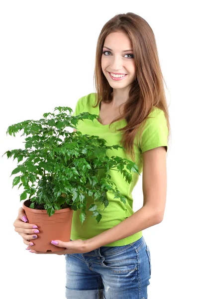 Menina bonita com flor em vaso isolado em branco — Fotografia de Stock