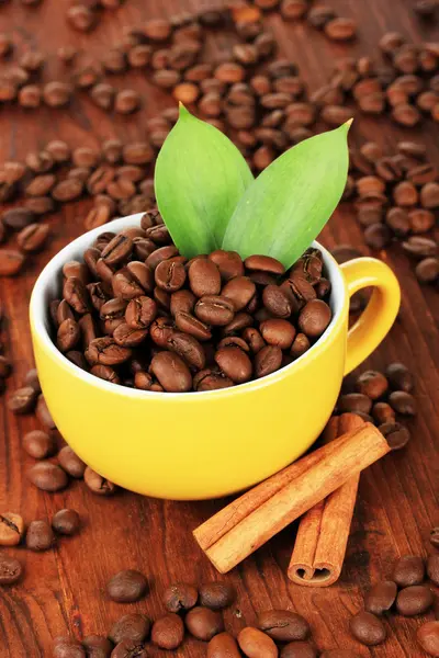 Coffee beans in cup on wooden background — Stock Photo, Image