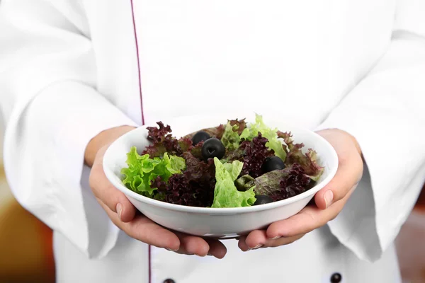 Salada em tigela em mãos de cozinheiro em fundo brilhante — Fotografia de Stock