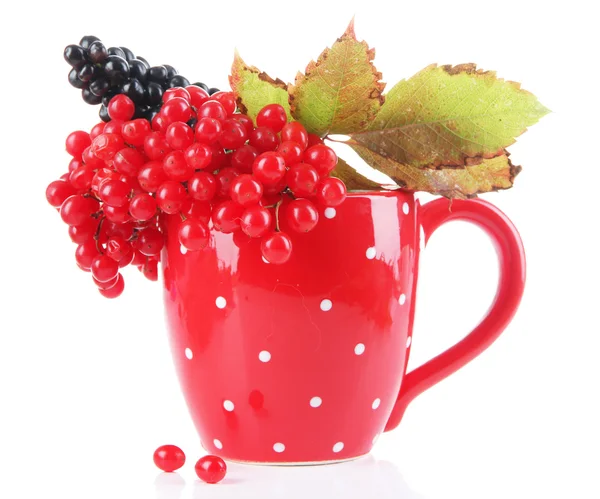 在杯中孤立的白色衬底上的红色和黑色浆果 — 图库照片