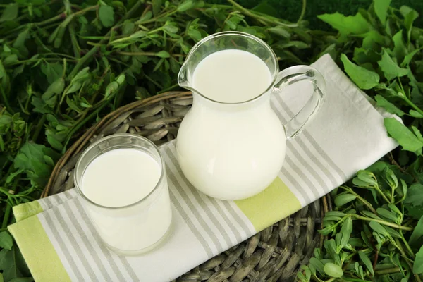 Jarra y vaso de leche en la servilleta en bandeja de mimbre en la hierba —  Fotos de Stock