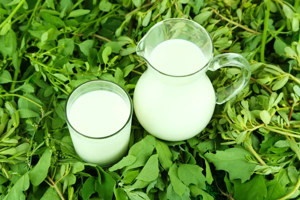 Στάμνα και ποτήρι γάλα στο γρασίδι — Φωτογραφία Αρχείου