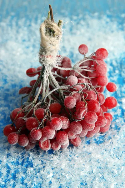 Baies rouges de viorne avec cristaux de glace, sur fond bleu — Photo