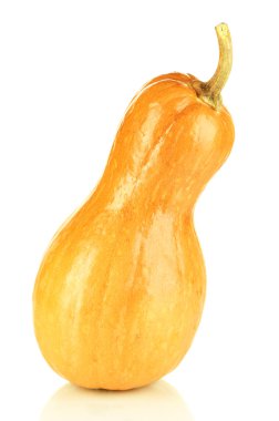 Olgun balkabağı beyaz izole