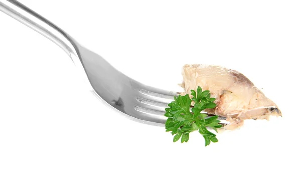 Fork with piece of canned comber, isolated on white — Stock Photo, Image