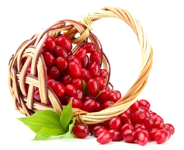 Свіжі карнизні ягоди в плетеному кошику, ізольовані на білому — стокове фото
