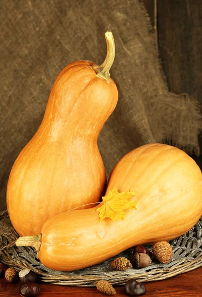 Composizione autunnale con zucca — Foto Stock