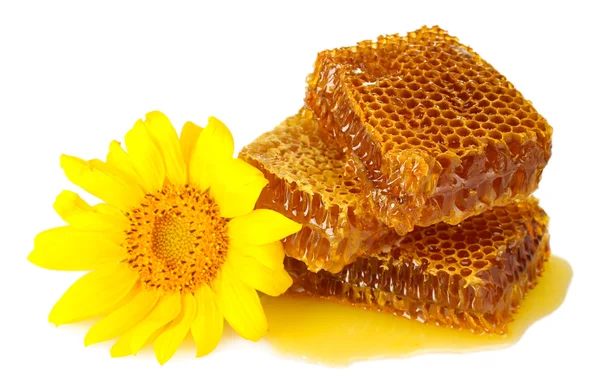 Zoete honingraten met honing en zonnebloem, geïsoleerd op wit Rechtenvrije Stockafbeeldingen