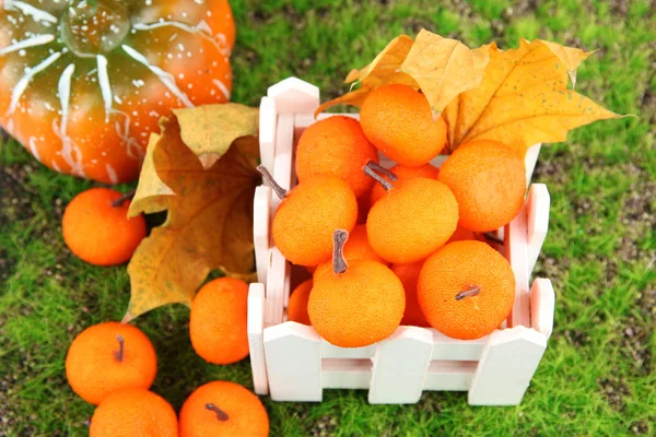 Pequenas tangerinas e abóbora no fundo musgo natureza — Fotografia de Stock