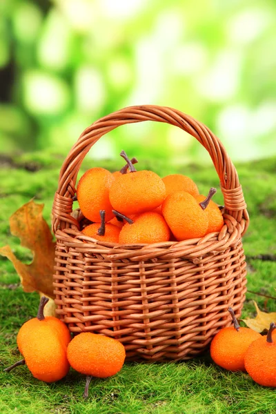 Petites mandarines dans un panier en osier sur fond nature — Photo