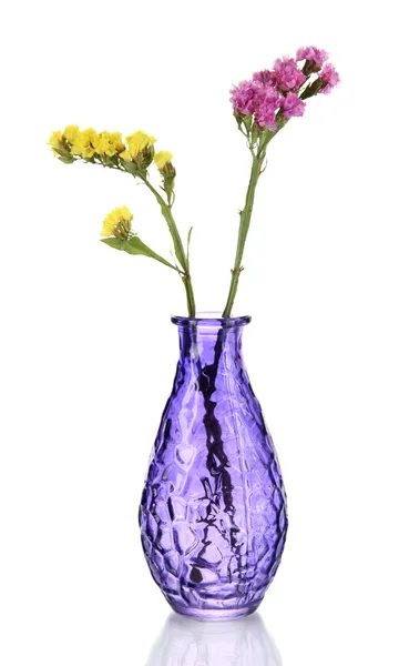 Beautiful summer flowers in vase isolated on white — Stock Photo, Image