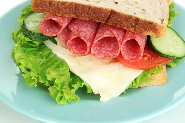 Gustoso panino con salsiccia di salame e verdure su piatto blu, isolato su bianco — Foto Stock