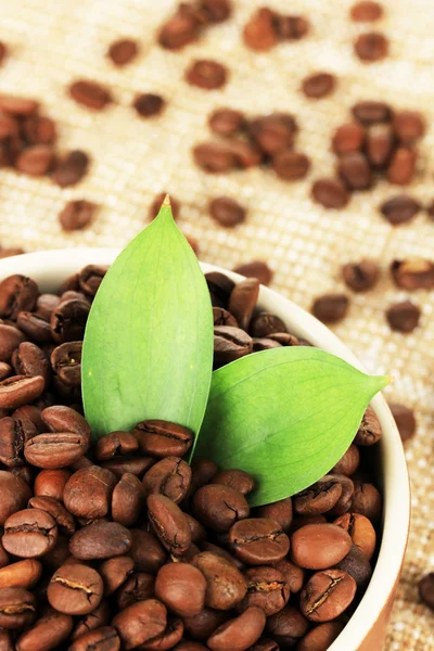 Chicchi di caffè in ciotola sul tavolo primo piano — Foto Stock