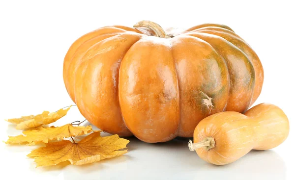 Ripe pumpkins with autumn foliage isolated on white — Stock Photo, Image