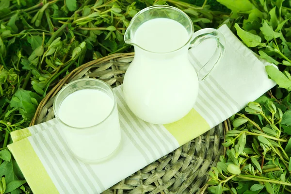 Jarro e vidro de leite no guardanapo na bandeja de vime na grama — Fotografia de Stock