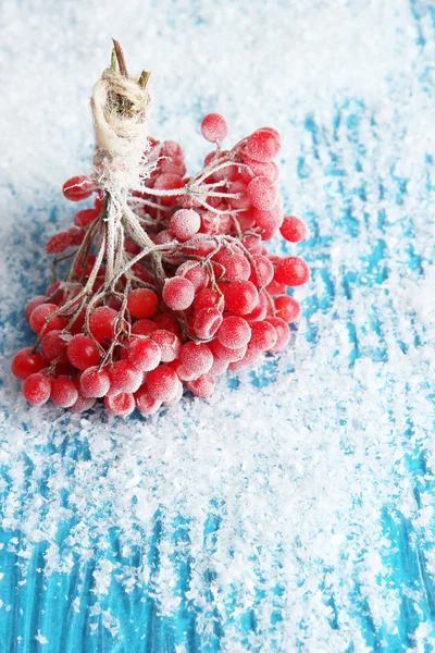 Baies rouges de viorne avec cristaux de glace, sur fond bleu — Photo