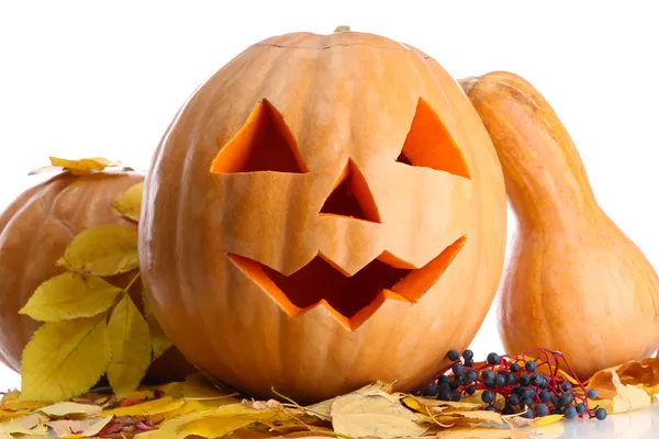 Calabazas de halloween y hojas de otoño, aisladas en blanco Imágenes de stock libres de derechos