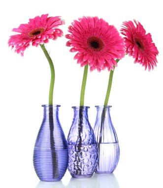 güzel pembe gerbera çiçekleri beyaz izole vazolar