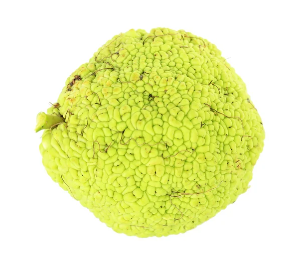 Osage pomarańczowe owoce (maclura pomifera), na białym tle — Zdjęcie stockowe