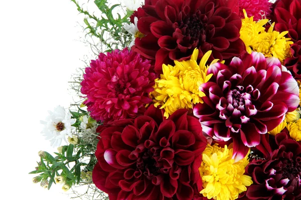 Bouquet of dahlia flowers, isolated on white — Stock Photo, Image