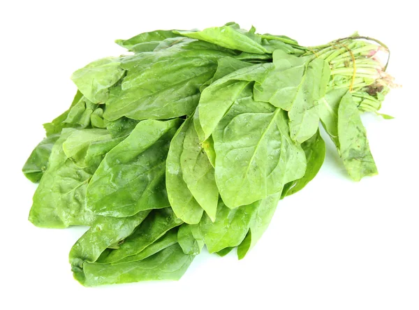 Bunch of spinach isolated on white — Stock Photo, Image