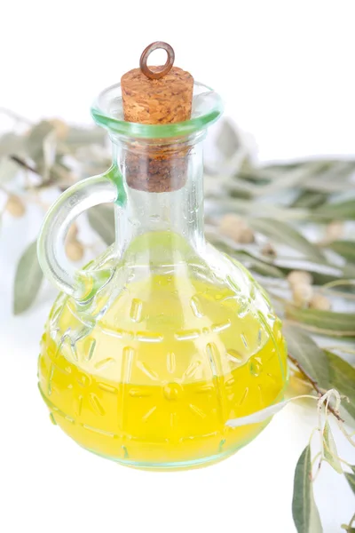 Olive oil and branch isolated on white — Stock Photo, Image