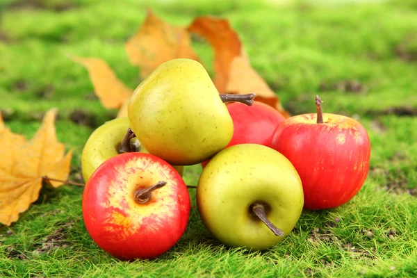 Piccole mele su sfondo muschio natura — Foto Stock