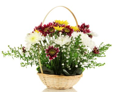 Güzel çiçekler beyaz üzerinde izole.