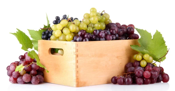 Assortment of ripe sweet grapes in wooden crate, isolated on whit — Stock Photo, Image