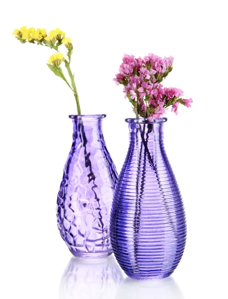 Belles fleurs d'été dans des vases isolés sur blanc — Photo