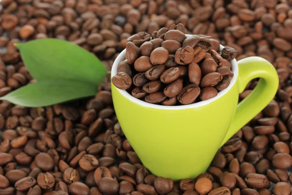 Coffee beans in cup close-up — Stock Photo, Image