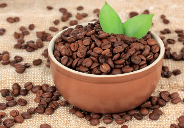 Grãos de café na tigela na mesa close-up — Fotografia de Stock