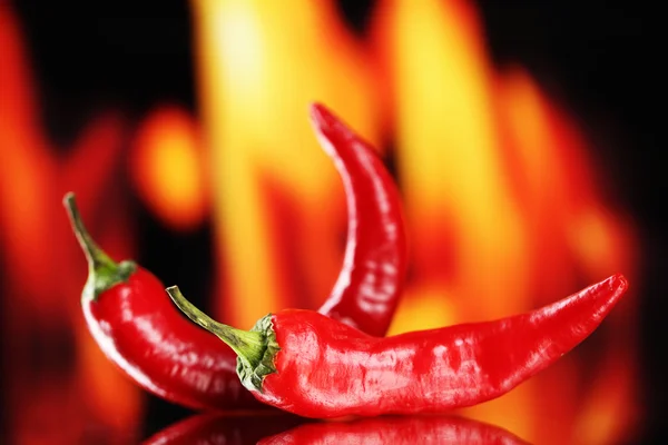 Red hot chili papričky na ohni pozadí — Stock fotografie