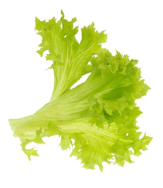 Salat isoliert auf weiß — Stockfoto