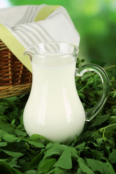 Pitcher of milk and basket on grass on nature background — Stock Photo, Image