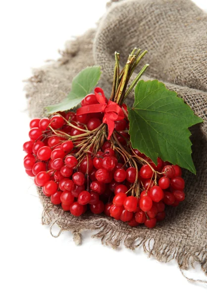 Red berries of viburnum on sackcloth napkin, isolated on white — Stock Photo, Image