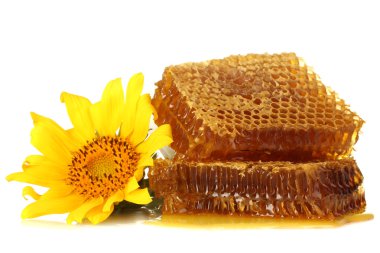 Bal ve ayçiçeği, üzerinde beyaz izole ile tatlı peteğin