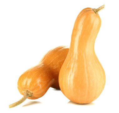 Olgun kabak üzerine beyaz izole