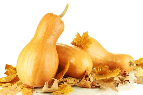 Calabazas maduras con hojas amarillas de otoño aisladas en blanco — Foto de Stock