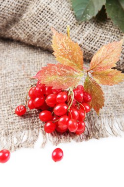 Kartopu üstünde çul peçete, üzerinde beyaz izole kırmızı meyveler