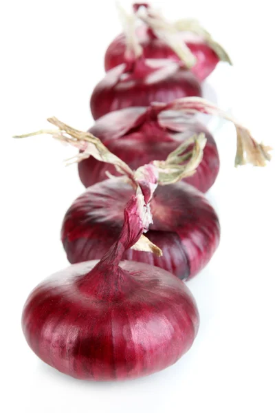Frische rote Zwiebeln in Reihe isoliert auf weiß — Stockfoto