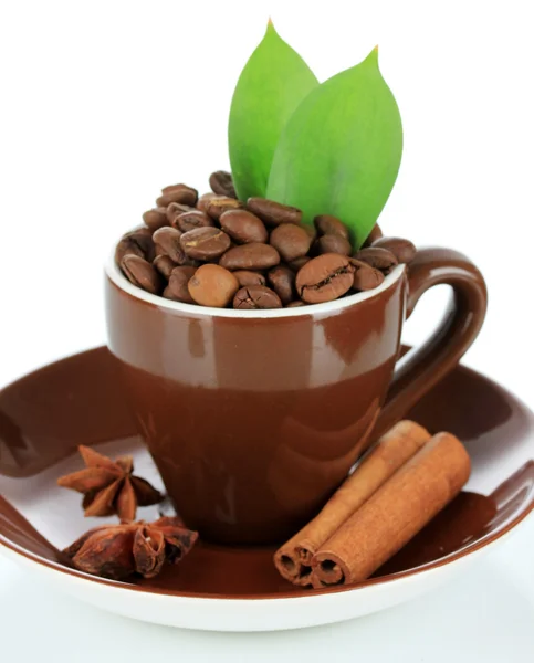 Kaffebönor i cup isolerad på vit — Stockfoto