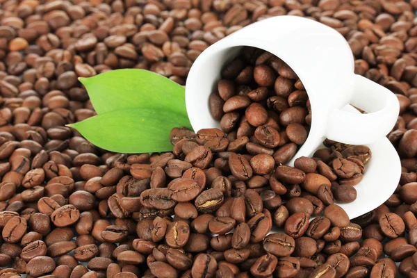 Chicchi di caffè in tazza primo piano — Foto Stock