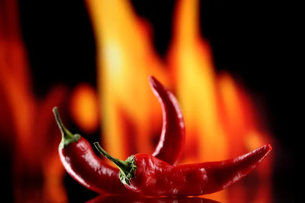 Rode hot chili peppers op brand achtergrond — Stockfoto