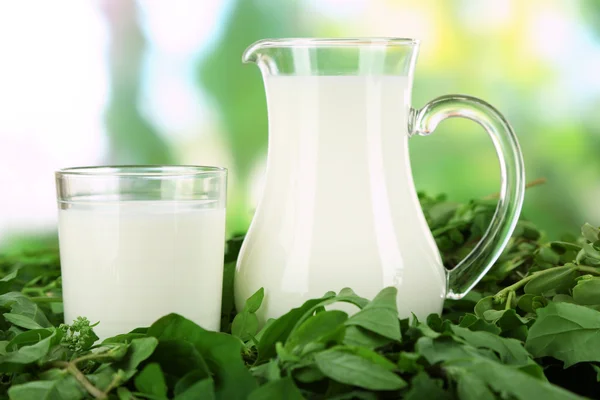 Werper en een glas melk op gras op aard achtergrond — Stockfoto
