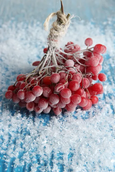 Rote Beeren von Viburnum mit Eiskristallen, auf blauem Hintergrund — Stockfoto